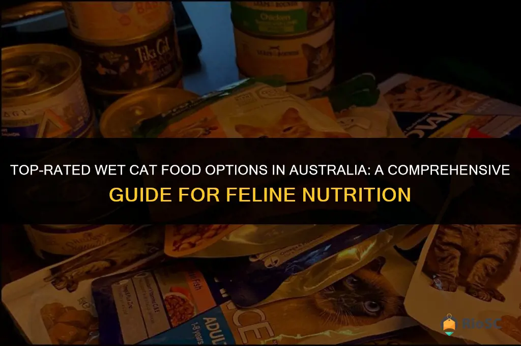 best cat food australia wet