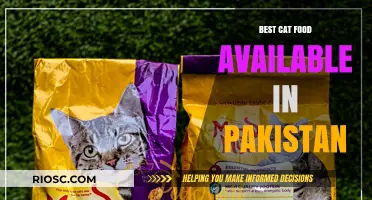 Top-Rated Cat Food Options in Pakistan: A Comprehensive Guide for Feline Nutrition