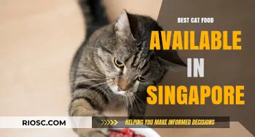 Top-Rated Cat Food Options in Singapore: A Comprehensive Guide for Feline Nutrition
