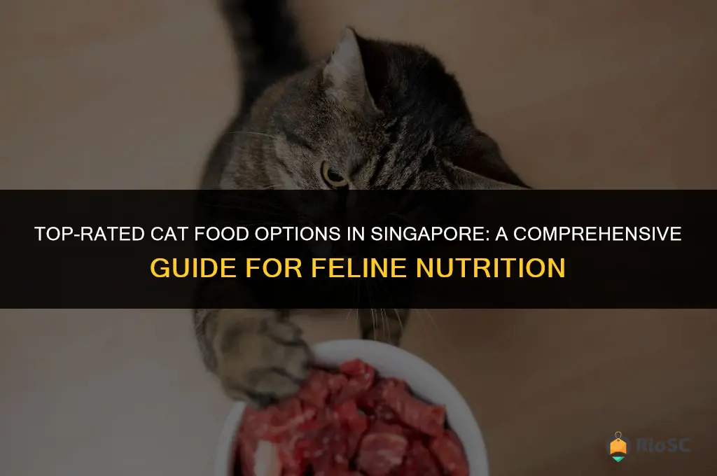 best cat food available in singapore