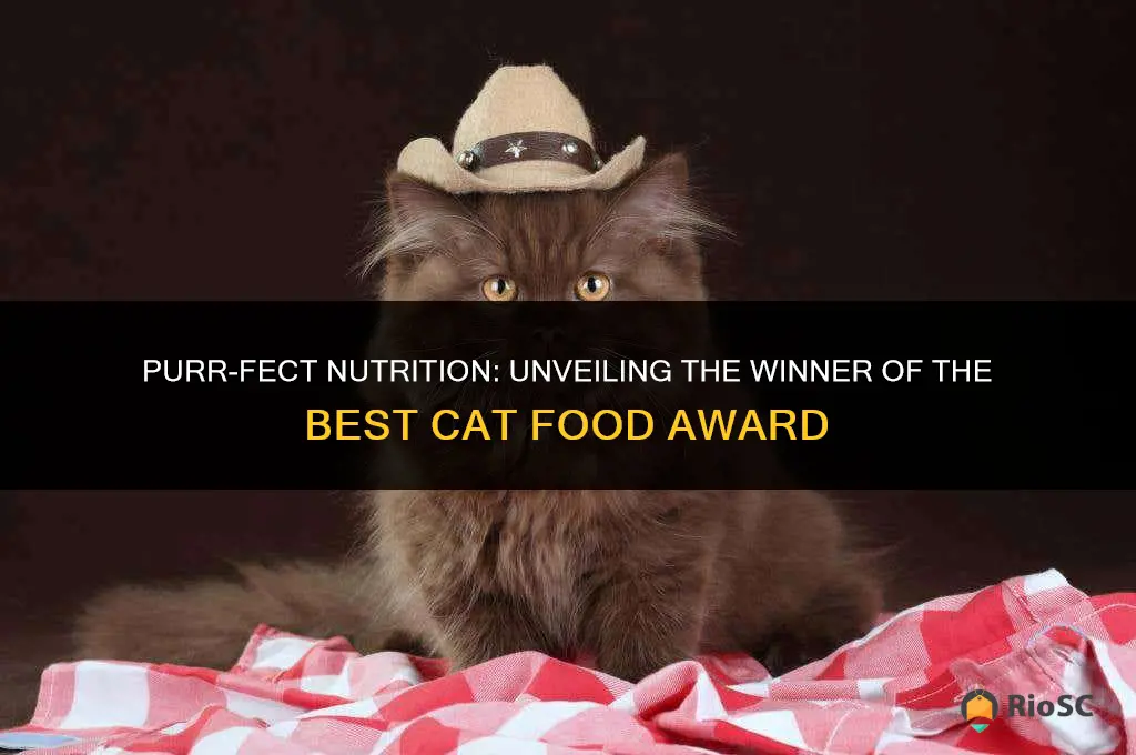 best cat food award