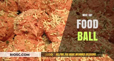 Top Picks for Your Feline Friend: The Best Cat Food Balls of 2024