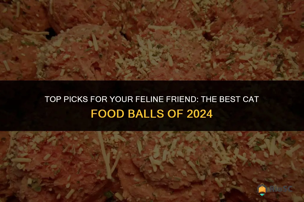 best cat food ball