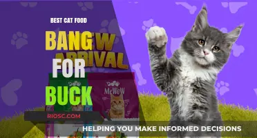 Purr-fectly Affordable: The Best Cat Food for Your Money