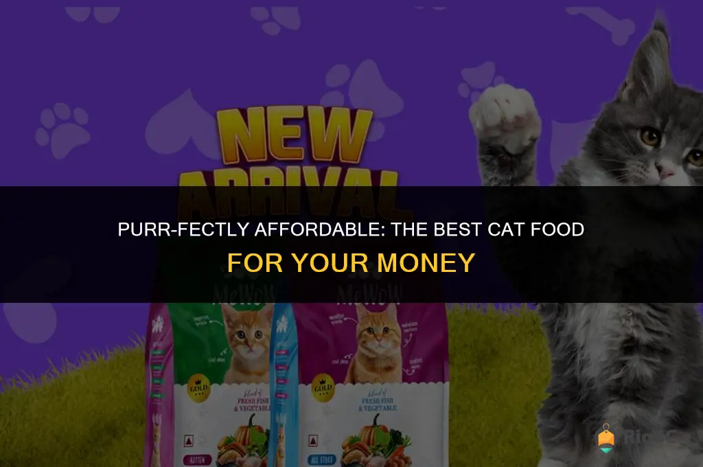 best cat food bang for buck