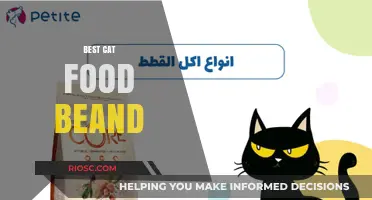 Top-Rated Cat Food Brands: A Comprehensive Guide for Feline Nutrition
