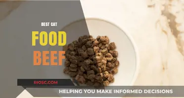 Top-Rated Beef Cat Food: A Comprehensive Guide for Feline Nutrition