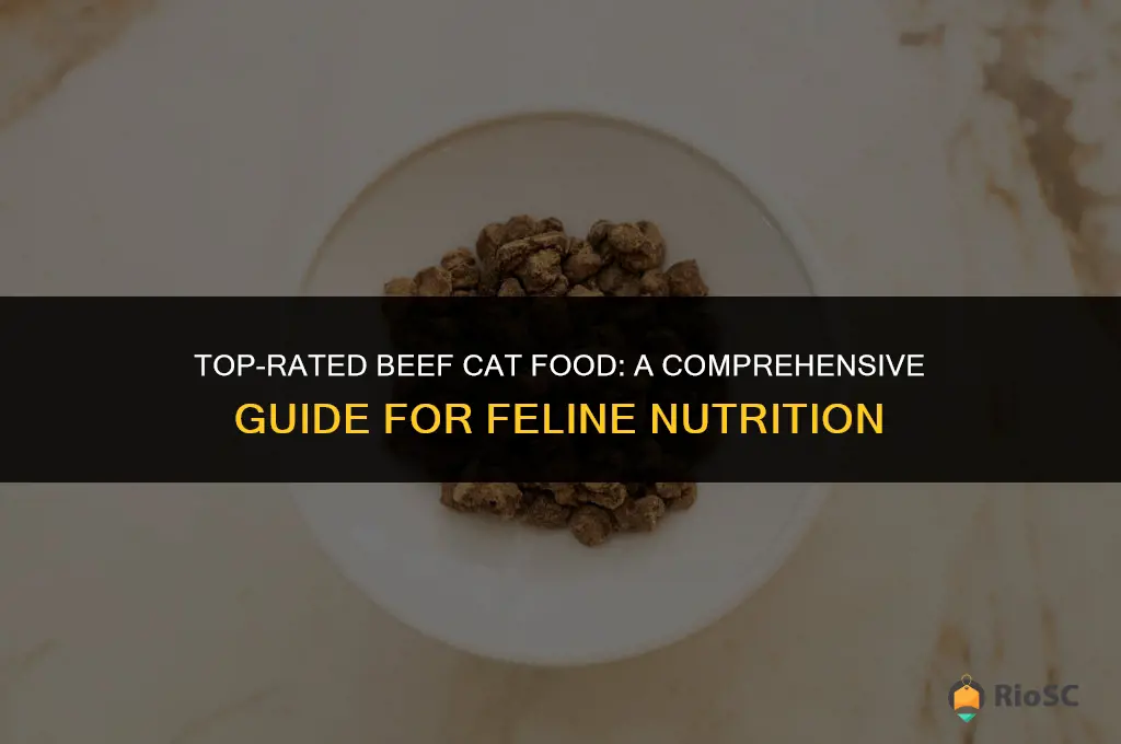 best cat food beef