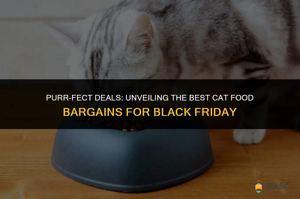 best cat food black friday