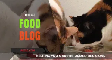 Purr-fect Nutrition: Unveiling the Best Cat Food Secrets on Our Blog