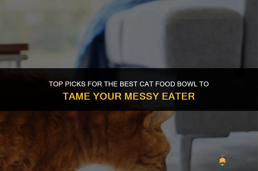 best cat food bowl for messy eaters