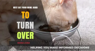 Top Picks for Durable Cat Food Bowls That Resist Tipping Over