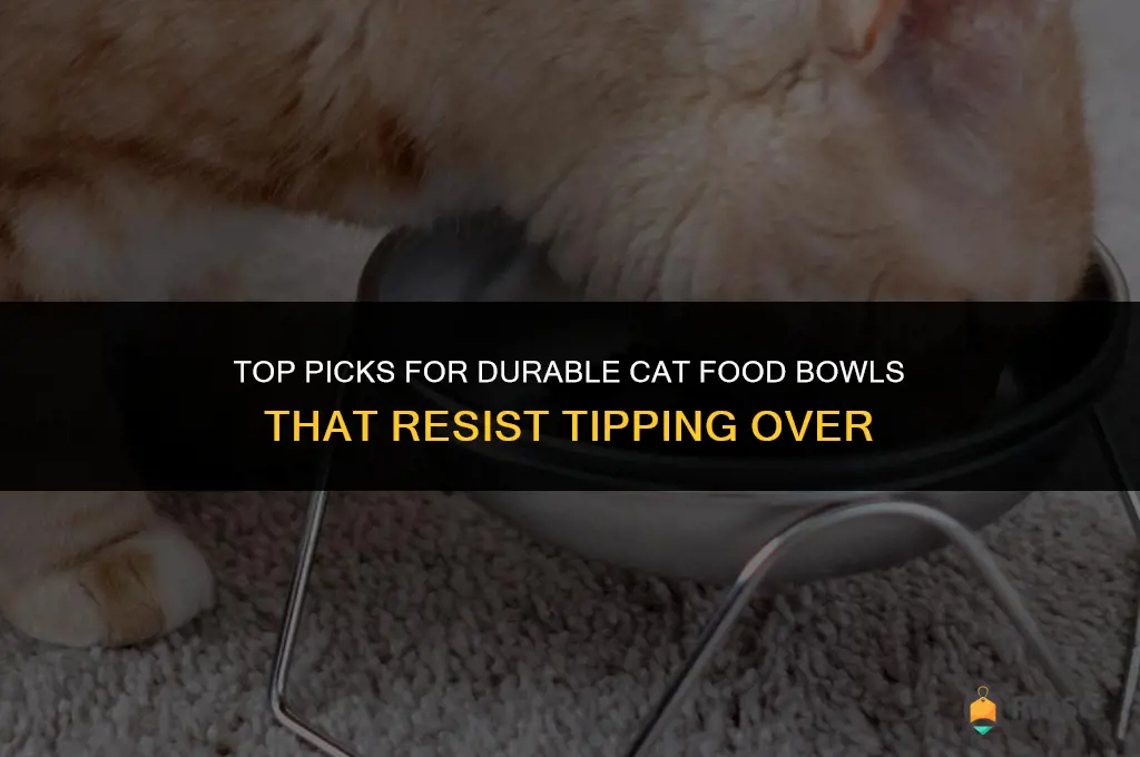 best cat food bowl hard to turn over