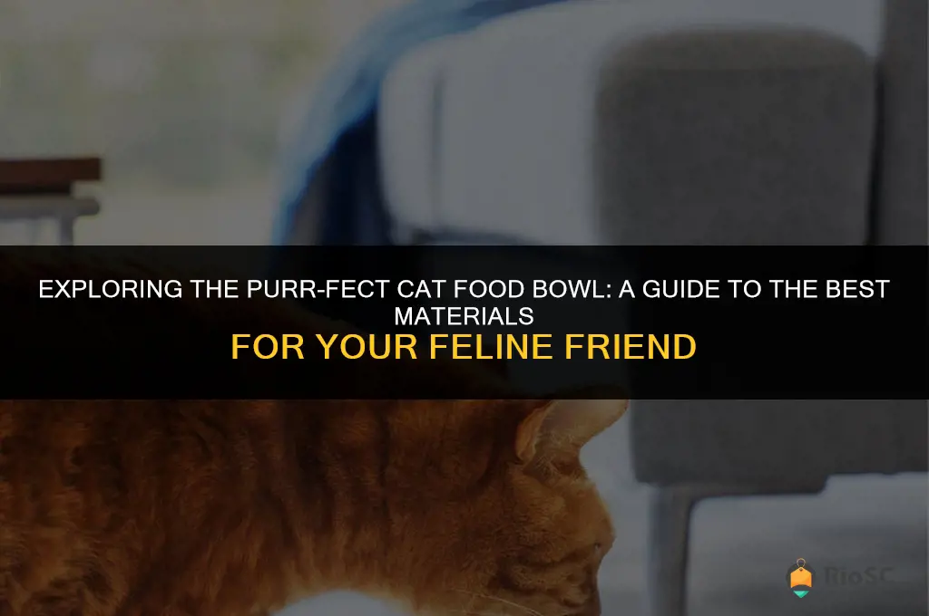 best cat food bowl material