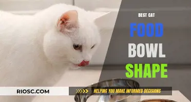 The Purr-fect Shape: Choosing the Best Cat Food Bowl for Your Feline Friend