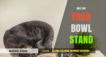 Elevate Your Feline's Dining Experience: The Ultimate Guide to Choosing the Best Cat Food Bowl Stand