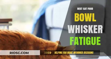 Revolutionize Your Feline's Feeding Time: Top Picks for Cat Food Bowls to Combat Whisker Fatigue