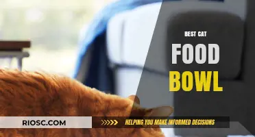 Purr-fectly Portioned: The Ultimate Guide to Choosing the Best Cat Food Bowl for Your Feline Friend