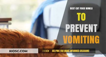 Top Picks for Cat Food Bowls to Reduce Vomiting: A Comprehensive Guide for Concerned Pet Owners