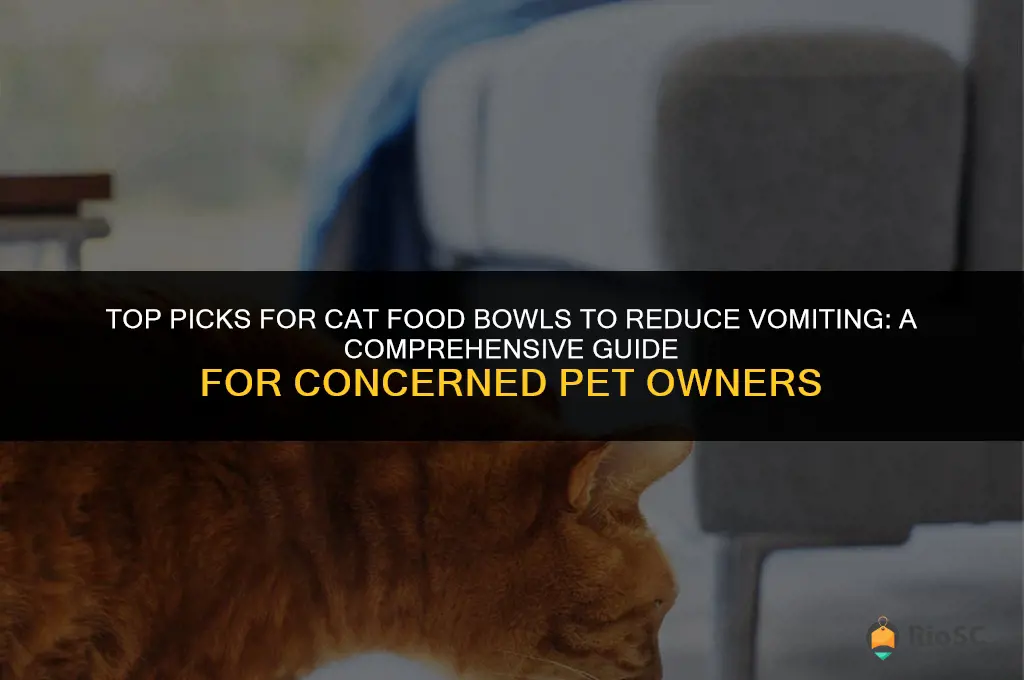 best cat food bowls to prevent vomiting