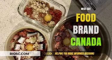 Top-Rated Cat Food Brands in Canada: A Comprehensive Guide for Feline Nutrition
