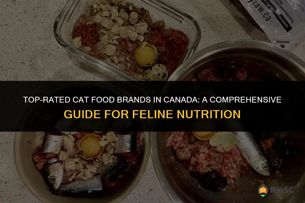 best cat food brand canada