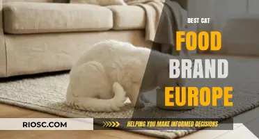 Top-Rated Cat Food Brands in Europe: A Comprehensive Guide for Feline Nutrition