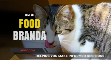 Top-Rated Cat Food Brands: A Comprehensive Guide for Feline Nutrition