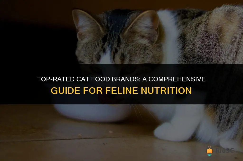 best cat food branda
