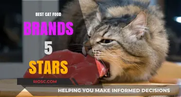 Top-Rated Cat Food Brands: A Guide to Five-Star Nutrition for Your Feline Friend