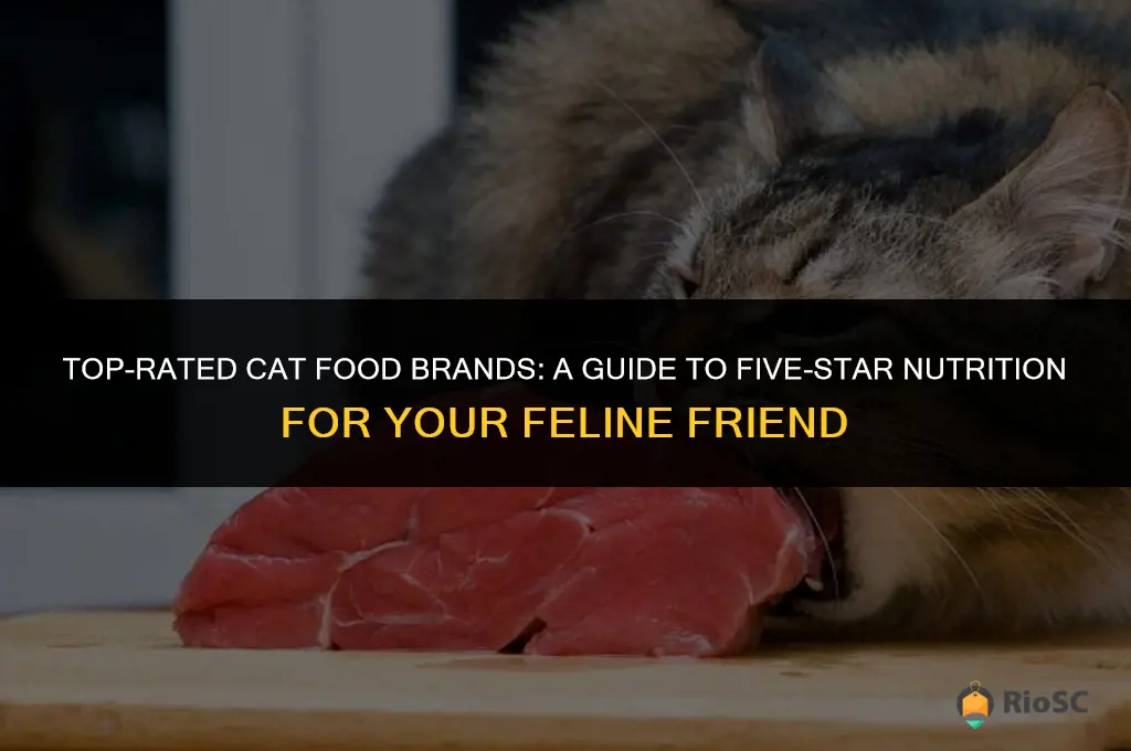 best cat food brands 5 stars