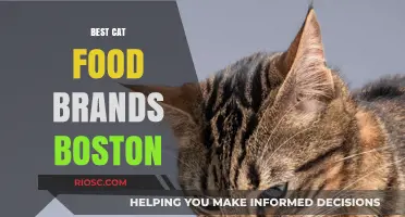 Top-Rated Cat Food Brands in Boston: A Comprehensive Guide for Pet Owners