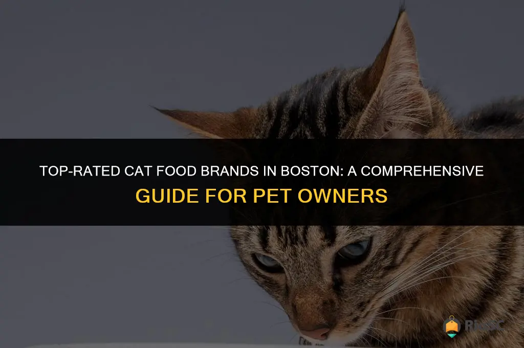 best cat food brands boston
