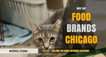 Top-Rated Cat Food Brands in Chicago: A Comprehensive Guide for Pet Owners