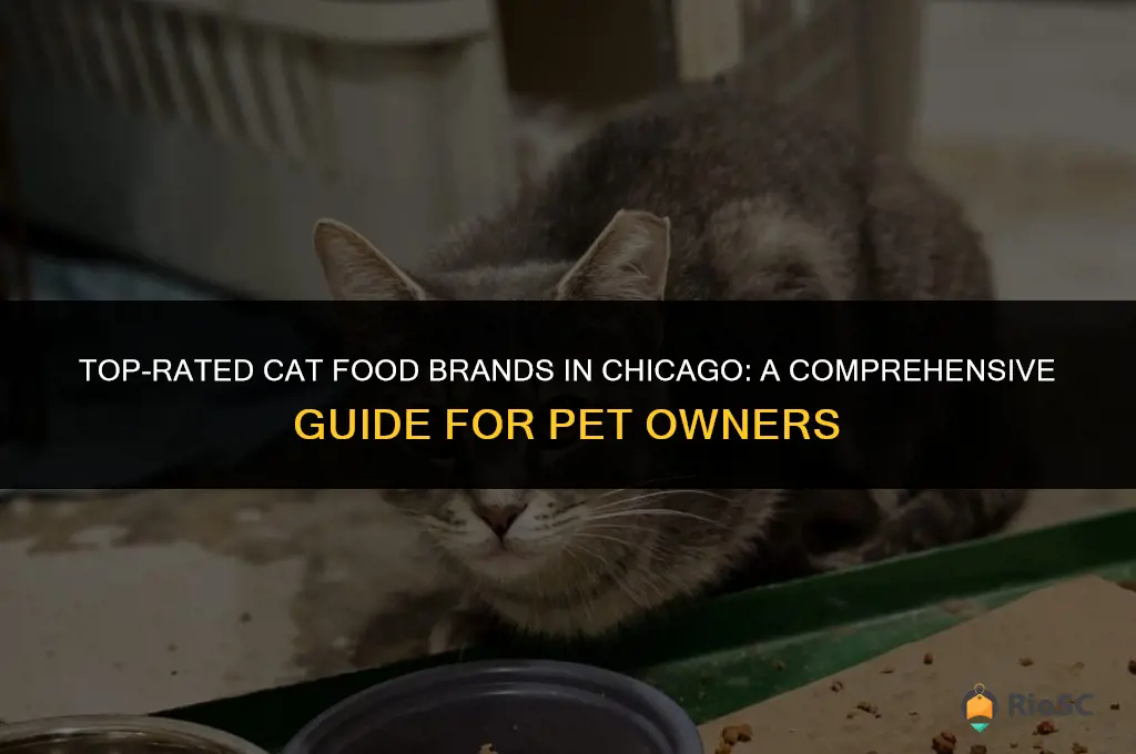 best cat food brands chicago