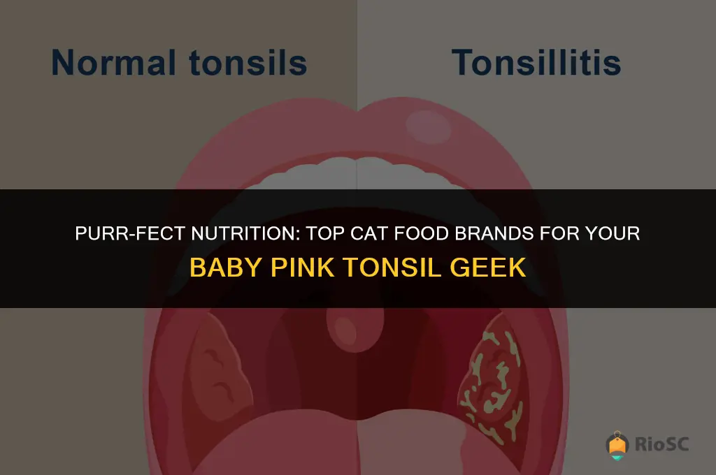 best cat food brands for baby pink tons geeks