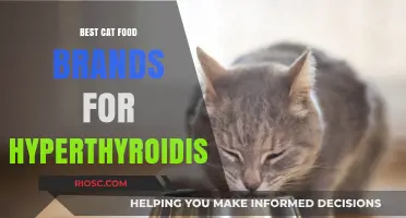 Top-Rated Cat Food Brands for Managing Hyperthyroidism in Felines
