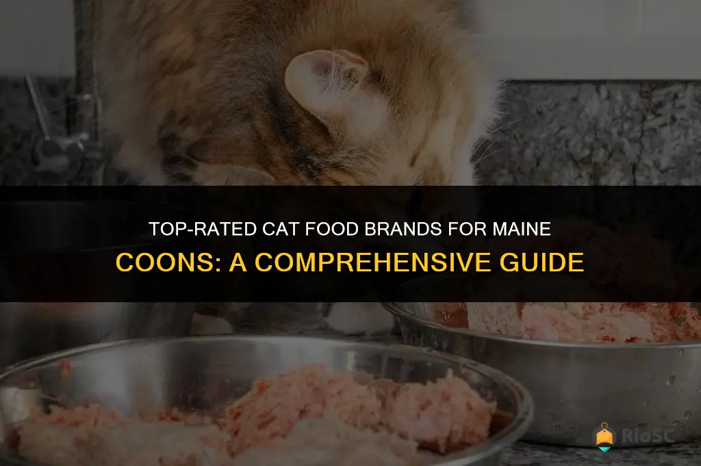 best cat food brands for maine coons