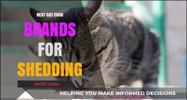 Top-Rated Cat Food Brands to Combat Shedding: A Comprehensive Guide for Pet Owners