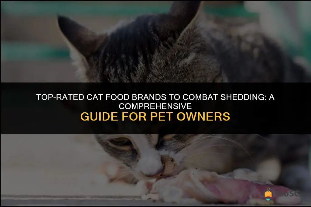 best cat food brands for shedding