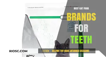 Top Cat Food Brands for Optimal Dental Health