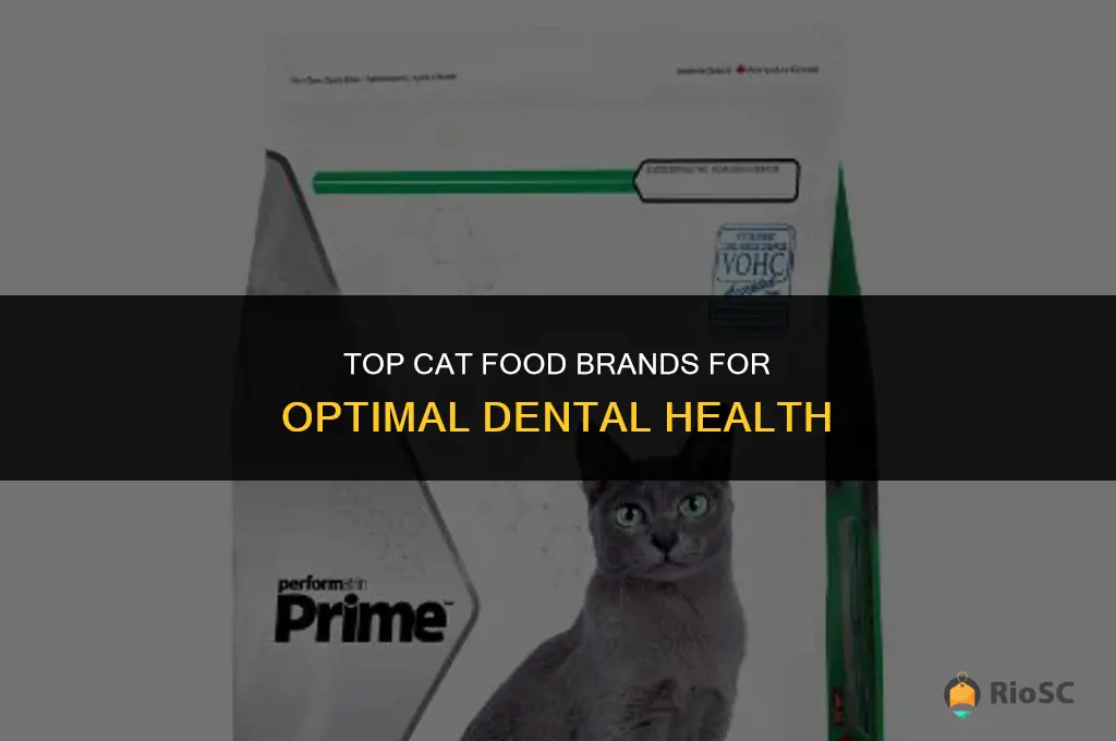 best cat food brands for teeth