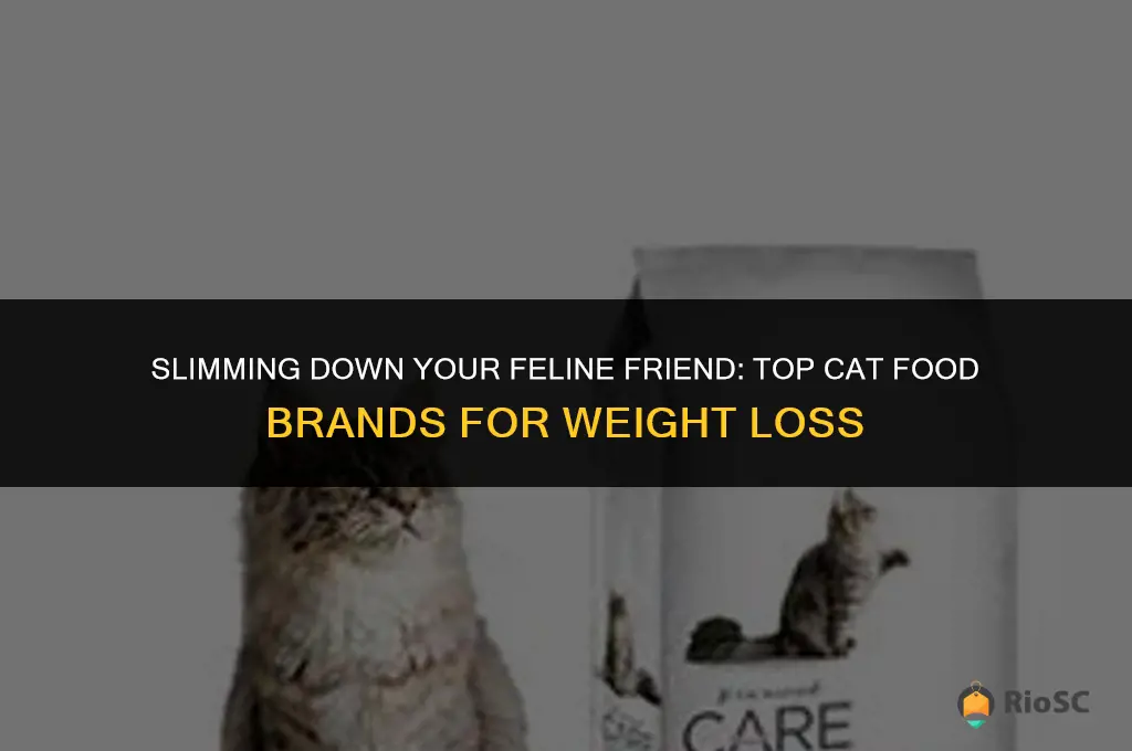 best cat food brands for weight loss
