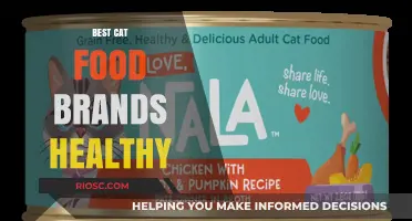 Top-Rated Healthy Cat Food Brands for Optimal Feline Nutrition