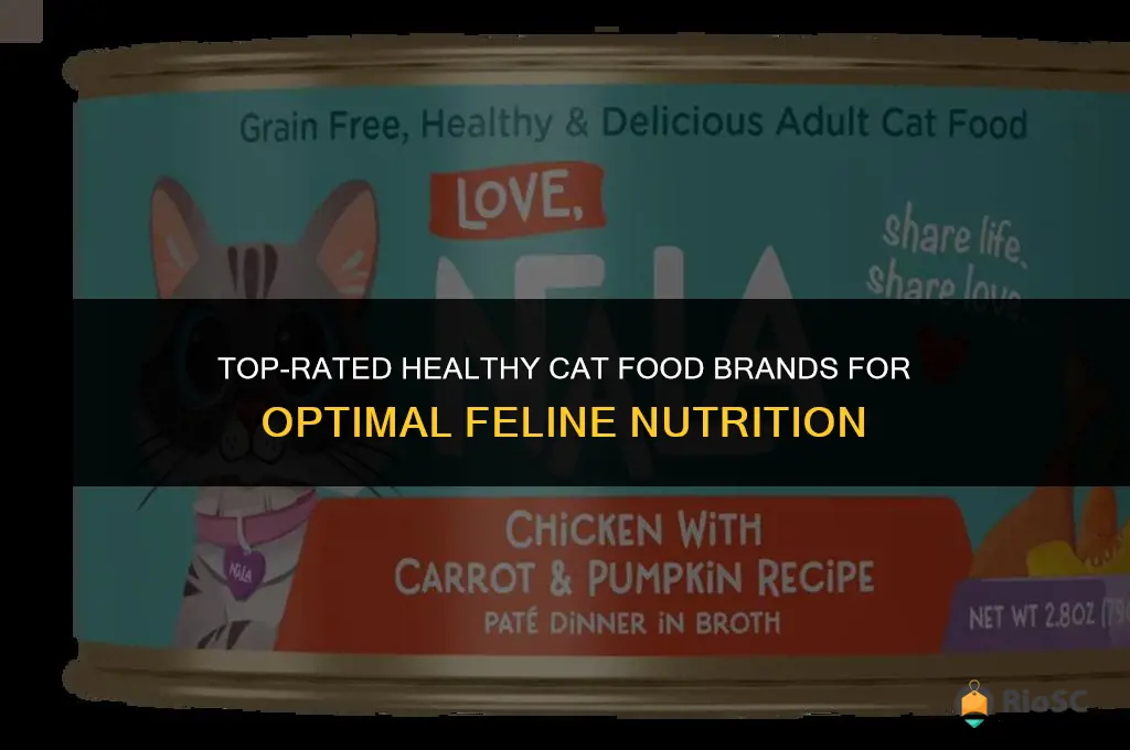 best cat food brands healthy