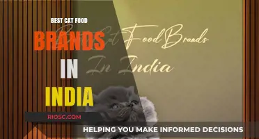 Top-Rated Cat Food Brands in India: A Comprehensive Guide for Feline Nutrition