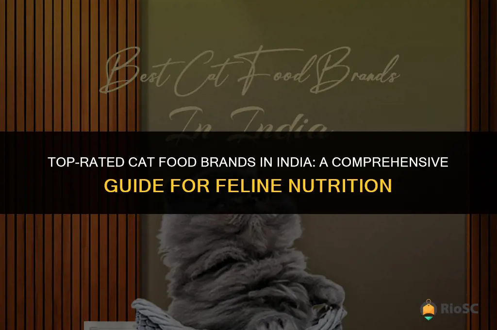 best cat food brands in india