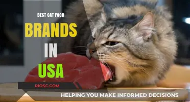 Top-Rated Cat Food Brands in the USA: A Comprehensive Guide for Feline Nutrition