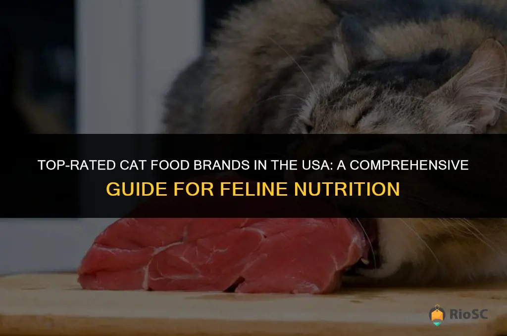 best cat food brands in usa
