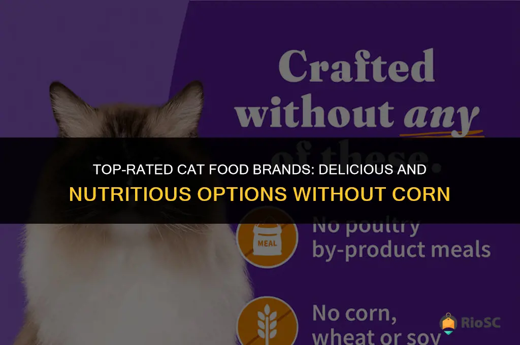 best cat food brands no corn